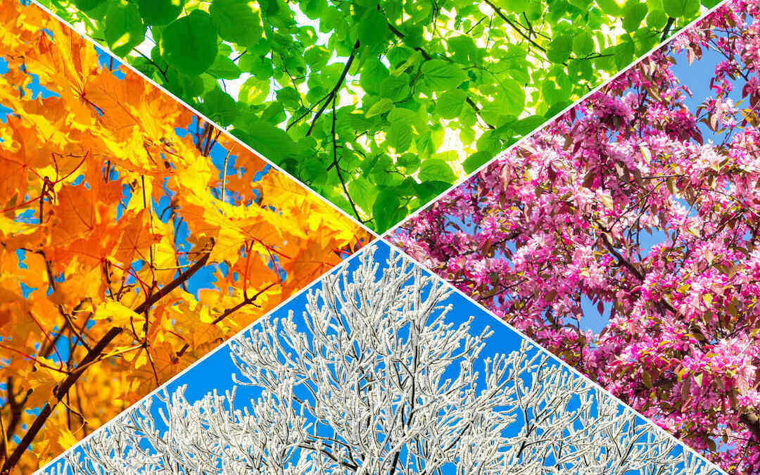 Self Storage: Effective Strategies for Remaining Competitive in the Slower Season